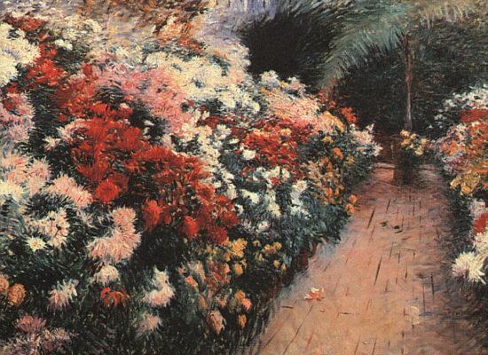 Chrysanthemums 111, Dennis Miller Bunker